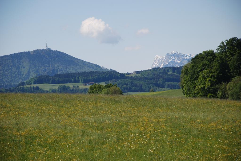 Landhaus Brieger Henndorf am Wallersee Luaran gambar